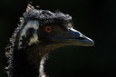 BUITEN BEELD Foto: 302501