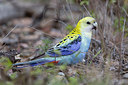 BUITEN BEELD Foto: 302503