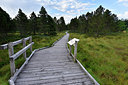 BUITEN BEELD Foto: 302508