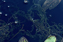 BUITEN BEELD Foto: 302523
