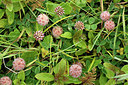 BUITEN BEELD Foto: 302544