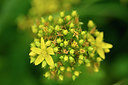 BUITEN BEELD Foto: 302554