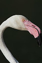 BUITEN BEELD Foto: 302557
