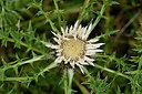BUITEN BEELD Foto: 302570