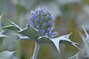 BUITEN BEELD Foto: 302576