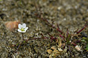 BUITEN BEELD Foto: 302584