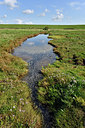 BUITEN BEELD Foto: 302647
