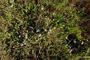 BUITEN BEELD Foto: 302654
