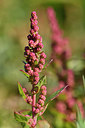 BUITEN BEELD Foto: 302665