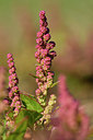 BUITEN BEELD Foto: 302671