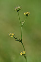 BUITEN BEELD Foto: 302675