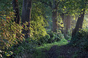 BUITEN BEELD Foto: 302710