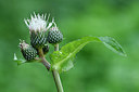 BUITEN BEELD Foto: 302730