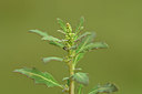 BUITEN BEELD Foto: 302744