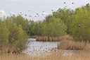 BUITEN BEELD Foto: 302800