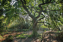 BUITEN BEELD Foto: 302806