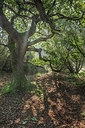BUITEN BEELD Foto: 302807