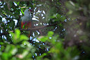 BUITEN BEELD Foto: 302820