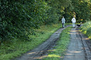 BUITEN BEELD Foto: 302823