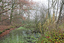 BUITEN BEELD Foto: 302825