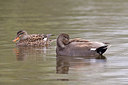 BUITEN BEELD Foto: 302831