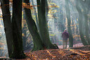 BUITEN BEELD Foto: 302850