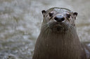 BUITEN BEELD Foto: 302979