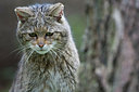 BUITEN BEELD Foto: 302980