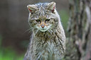 BUITEN BEELD Foto: 302981