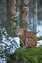 BUITEN BEELD Foto: 303023
