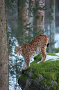 BUITEN BEELD Foto: 303024