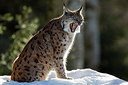 BUITEN BEELD Foto: 303028