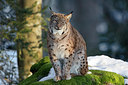 BUITEN BEELD Foto: 303047