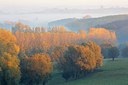 BUITEN BEELD Foto: 303144