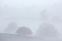 BUITEN BEELD Foto: 303164