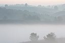 BUITEN BEELD Foto: 303176