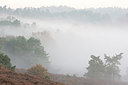 BUITEN BEELD Foto: 303179