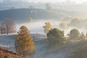 BUITEN BEELD Foto: 303199