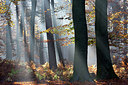 BUITEN BEELD Foto: 303216