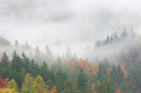 BUITEN BEELD Foto: 303230