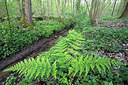 BUITEN BEELD Foto: 303334