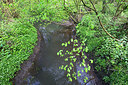 BUITEN BEELD Foto: 303335