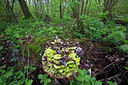BUITEN BEELD Foto: 303337