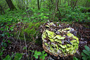 BUITEN BEELD Foto: 303338