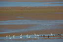 BUITEN BEELD Foto: 303386