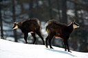 BUITEN BEELD Foto: 303394
