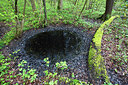 BUITEN BEELD Foto: 303494