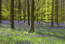 BUITEN BEELD Foto: 303611