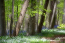 BUITEN BEELD Foto: 303615