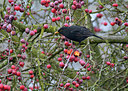 BUITEN BEELD Foto: 303626